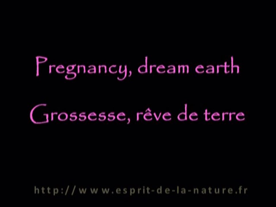 grossesse et femme enceinte