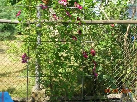 Moje miejsce na ziemi