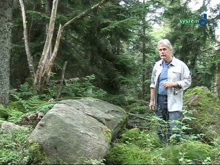 SystemD : à la découverte du Taennchel