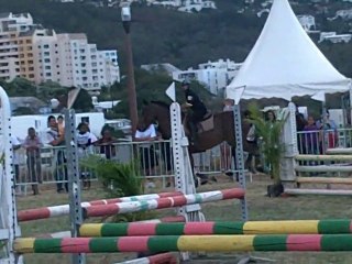 04.12.10 - Faites du cheval x3-Elias Rentzau