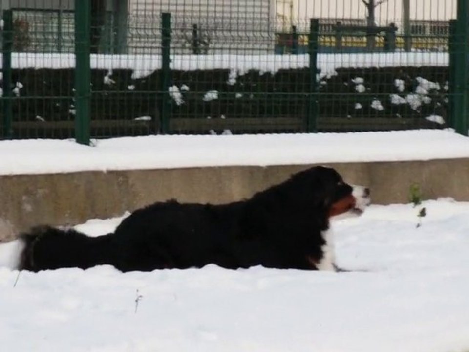 Eika RAS : Sortie 2010.12.04 et première rencontre avec Aya