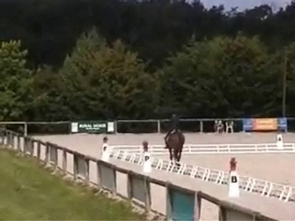 OTRE QUACK SANDILLON 2010 CCI