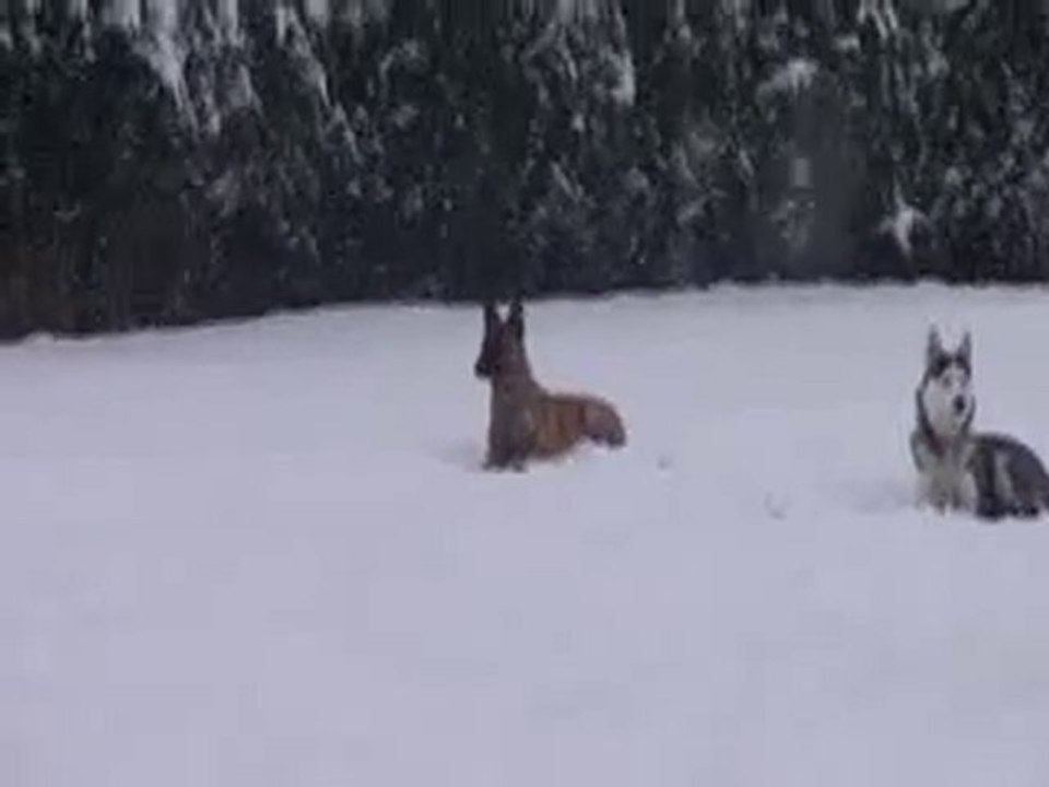 Pas bouger (+ rappel des autres)