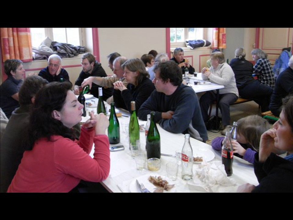 telethon_2010