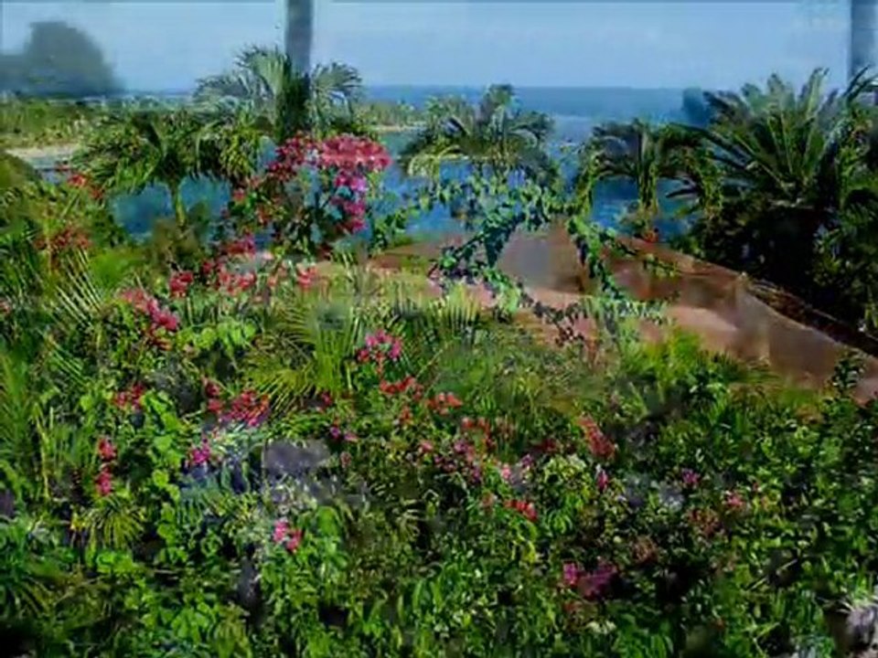 Vacances en Guadeloupe ?