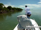 Fly Fishing for Game Fish in the Flats of the Florida Keys
