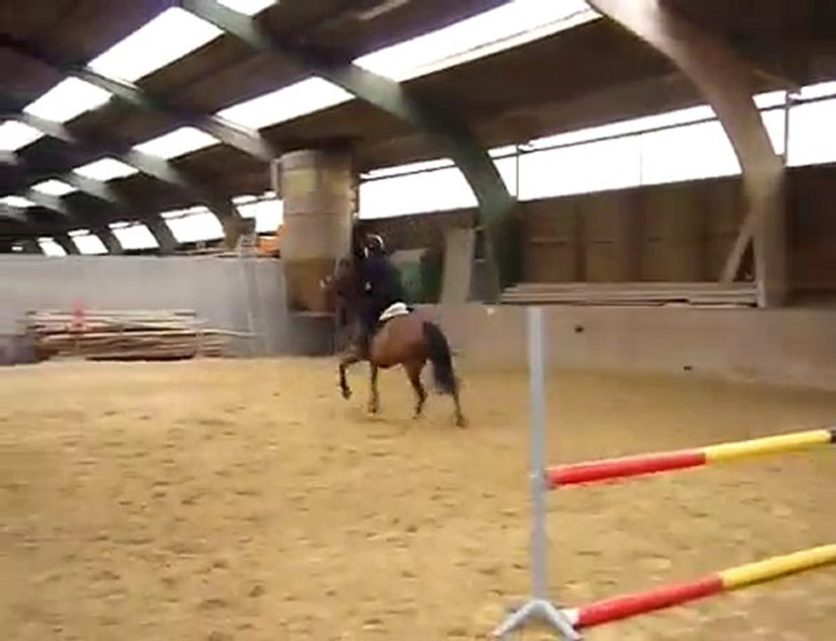 oakland saut dido 026