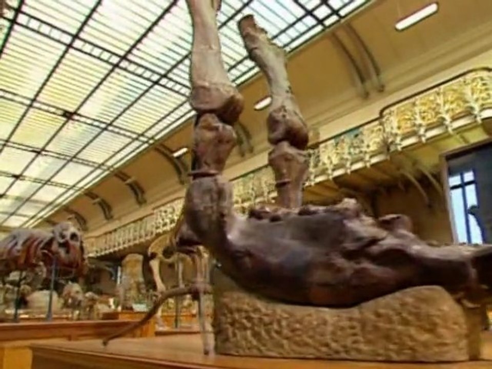 Evolution L'explication de la bible