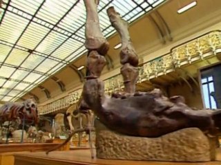 Evolution L'explication de la bible