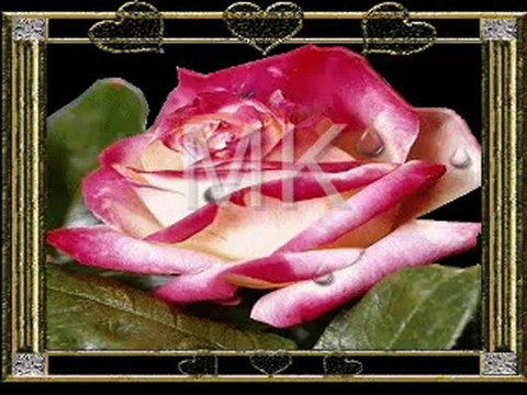 Berdan Mardini - Cemo