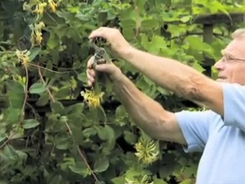 Projektowanie Ogrodu Wroclaw Swiat Na Zielono. Centrum ...