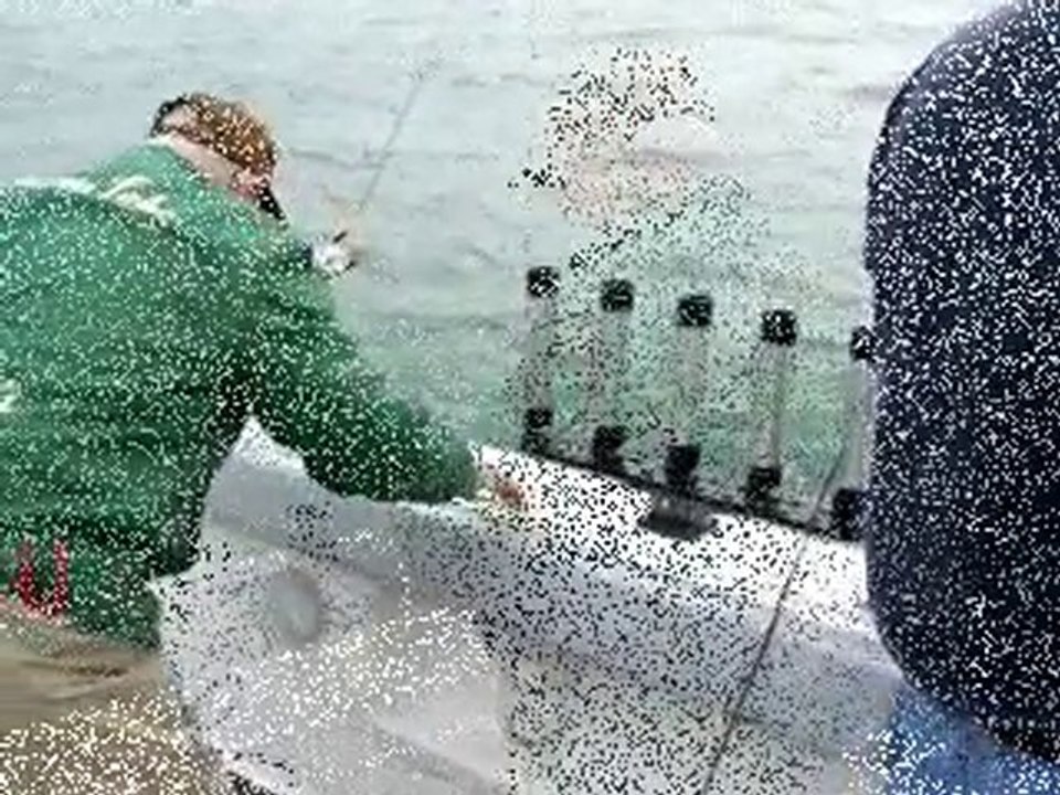 Perch Fishing Lake Erie Michigan