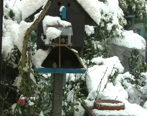 Les Côtes d'Armor sous la neige 2010