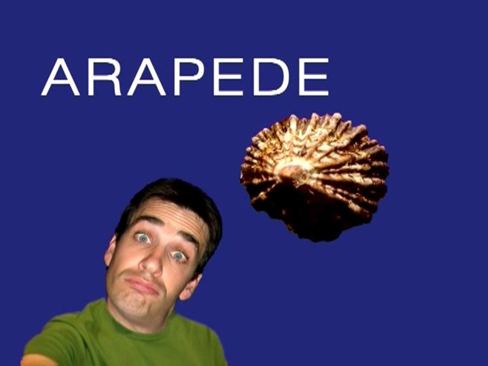 Arapede