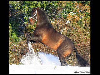 shooting dans la neige 2010.