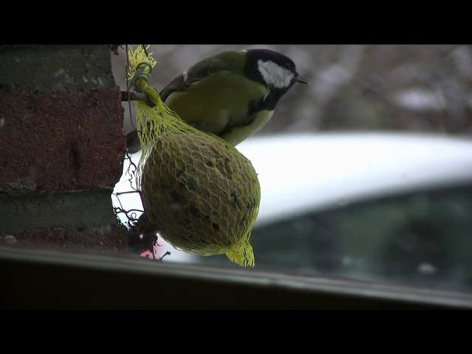 Ché l\'hiver.mp4