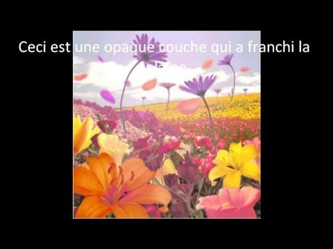 Les deux minutes du peuple - La dictée de Bernard Pivot