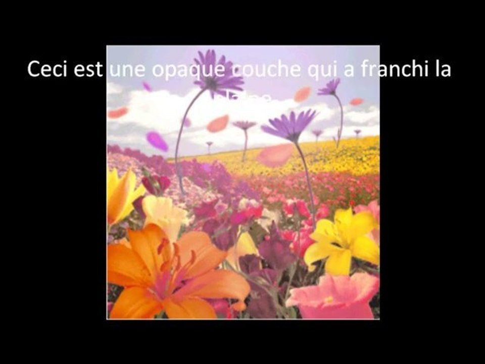 Les deux minutes du peuple - La dictée de Bernard Pivot