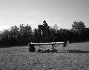 Prowills from days to days