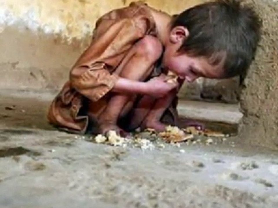 Attila József - Ein wilder Apfelbaum will ich werden! (1921)