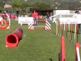 Daisy de la Haie des Copelins & Fred : 2è concours d'agility