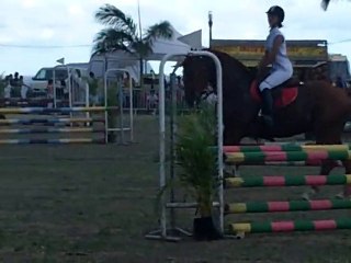 04.12.10 - Faites du cheval x3-parade