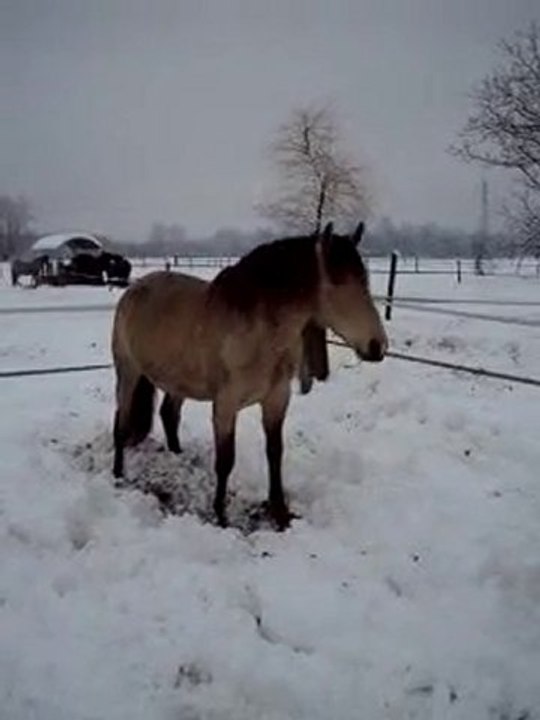Quéré dans la neige !
