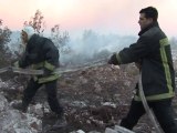 Israël: l'incendie du mont Carmel enfin maîtrisé