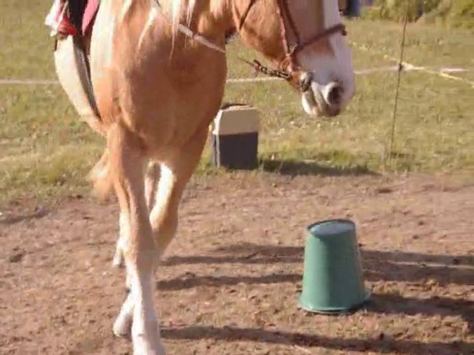 Fanny Novembre - Décembre 2010