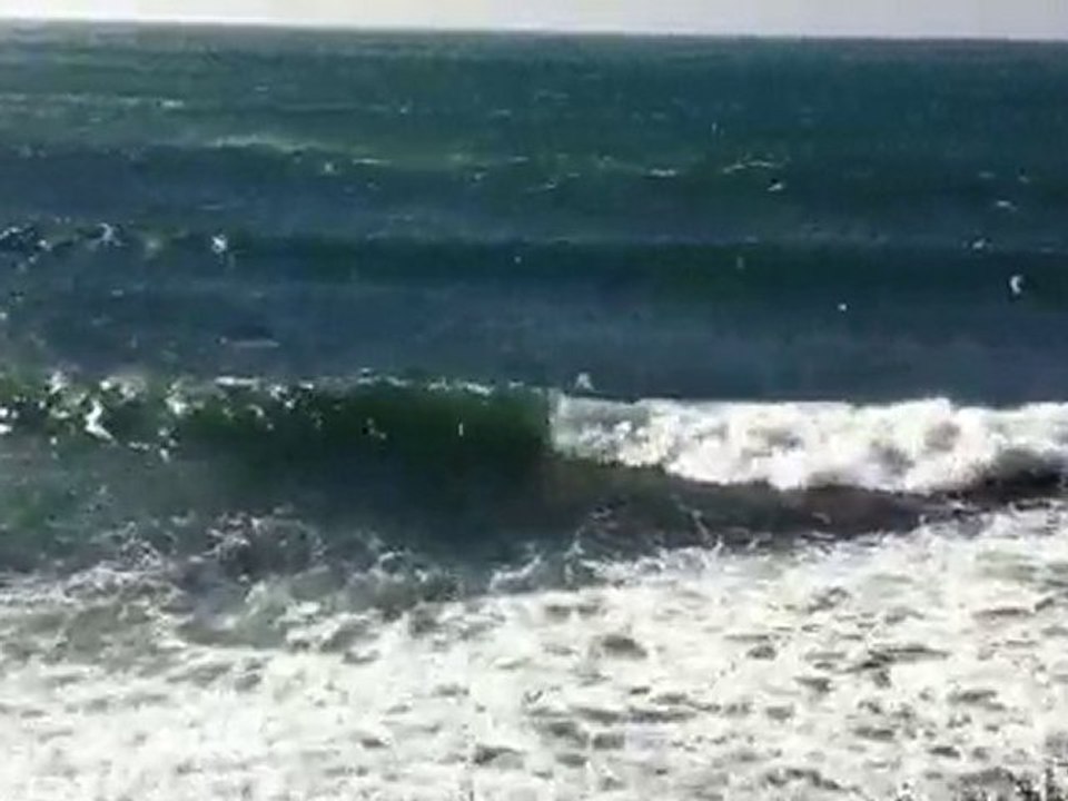 Surf Sausset