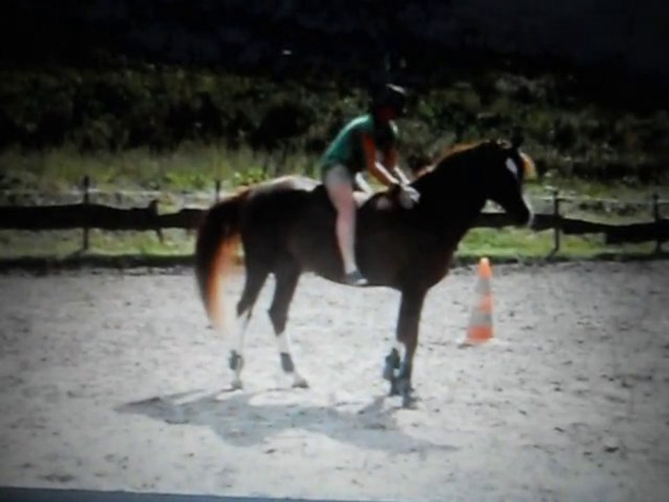 Palouuuu