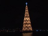 Rio lights up world's largest floating Christmas tree