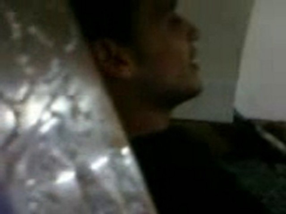 bahçada yeşil çınar