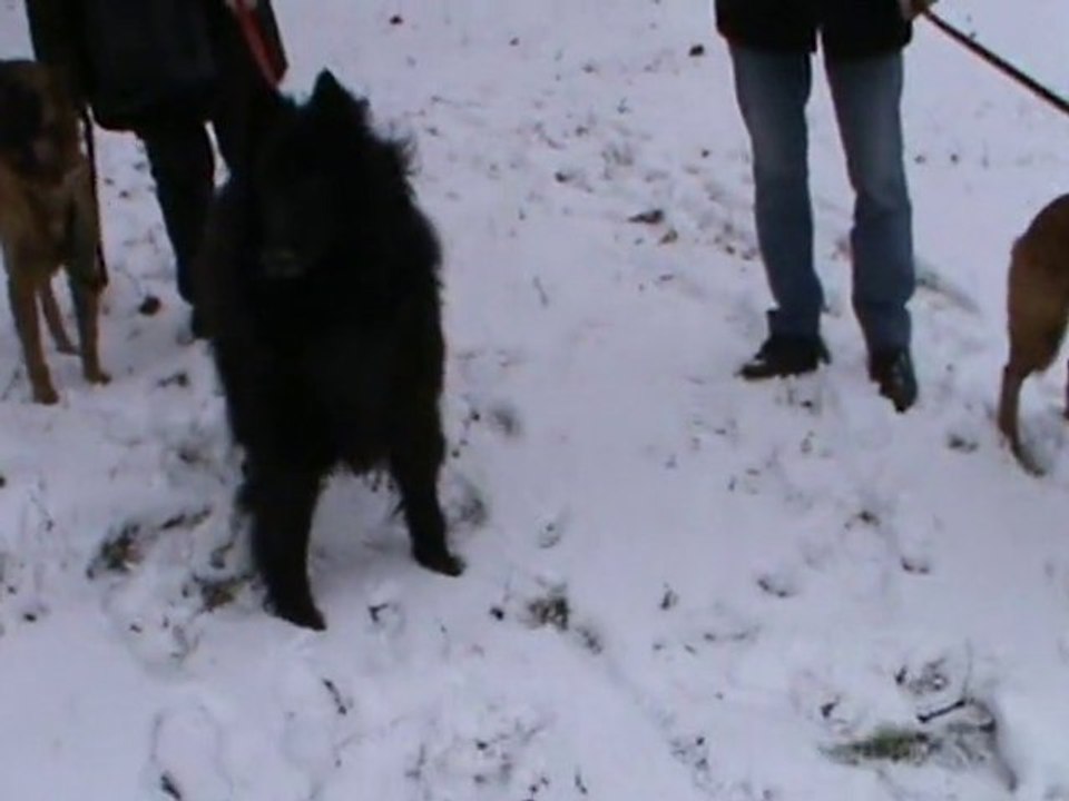 20101204161332