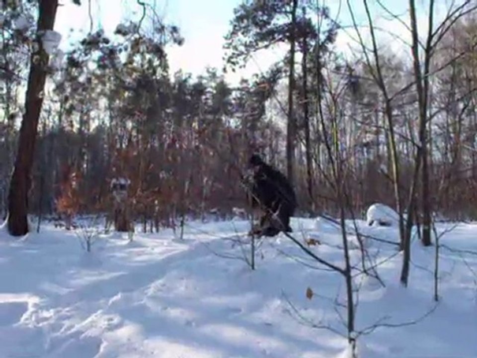The Great Escape