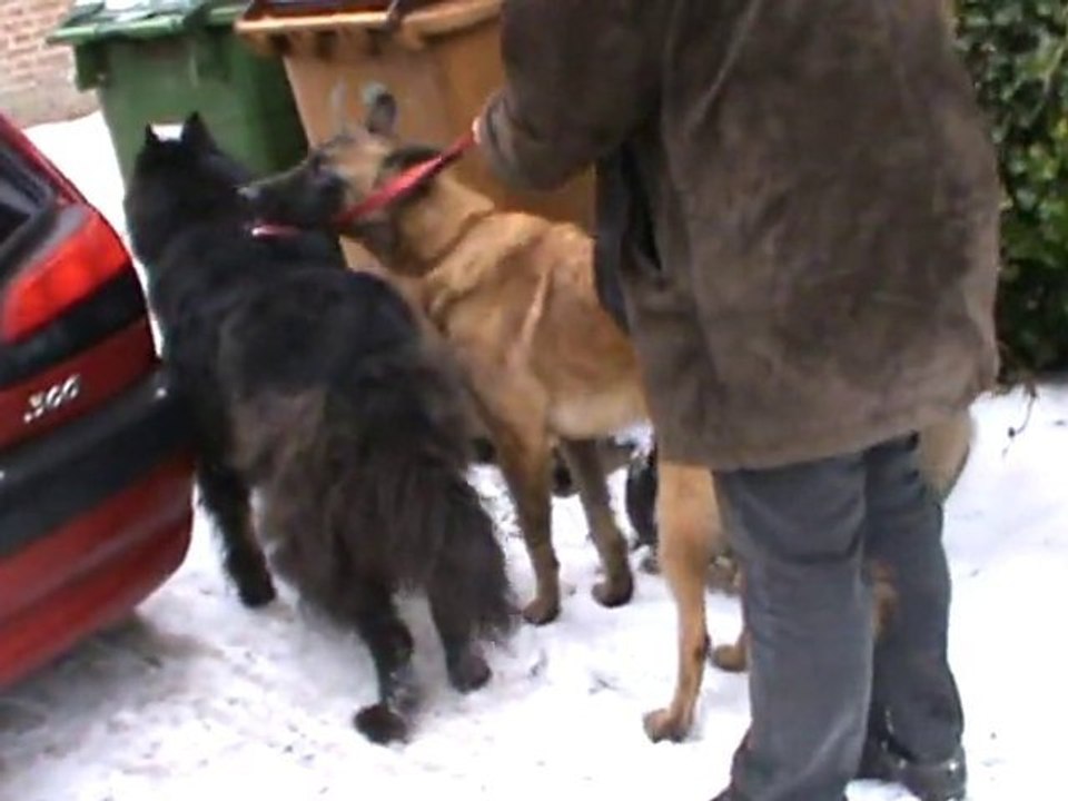 20101204161613
