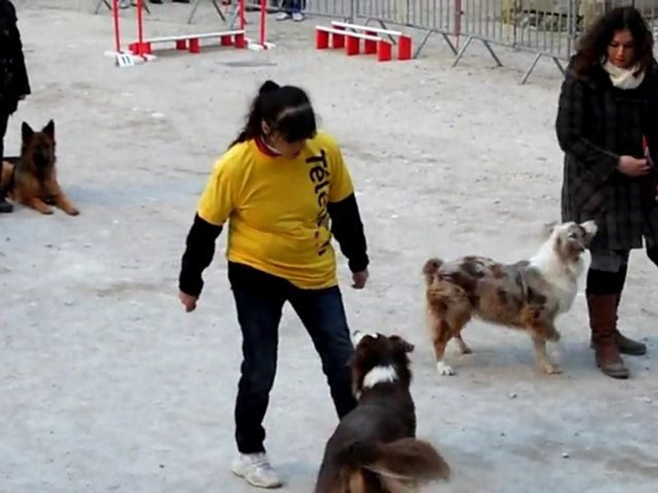 téléthon 013