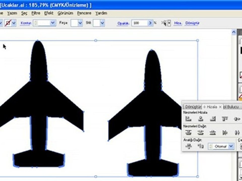 adobe illustrator cs3 görsel eğitimleri - seçim aracı3