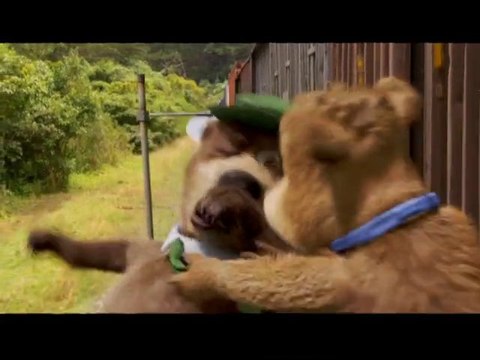 Yogi Bear - Run Boo Boo, Run!