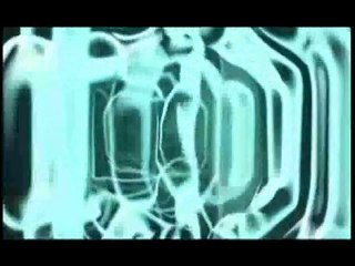 Weapon Laser 17 HMR vs Hog Pig