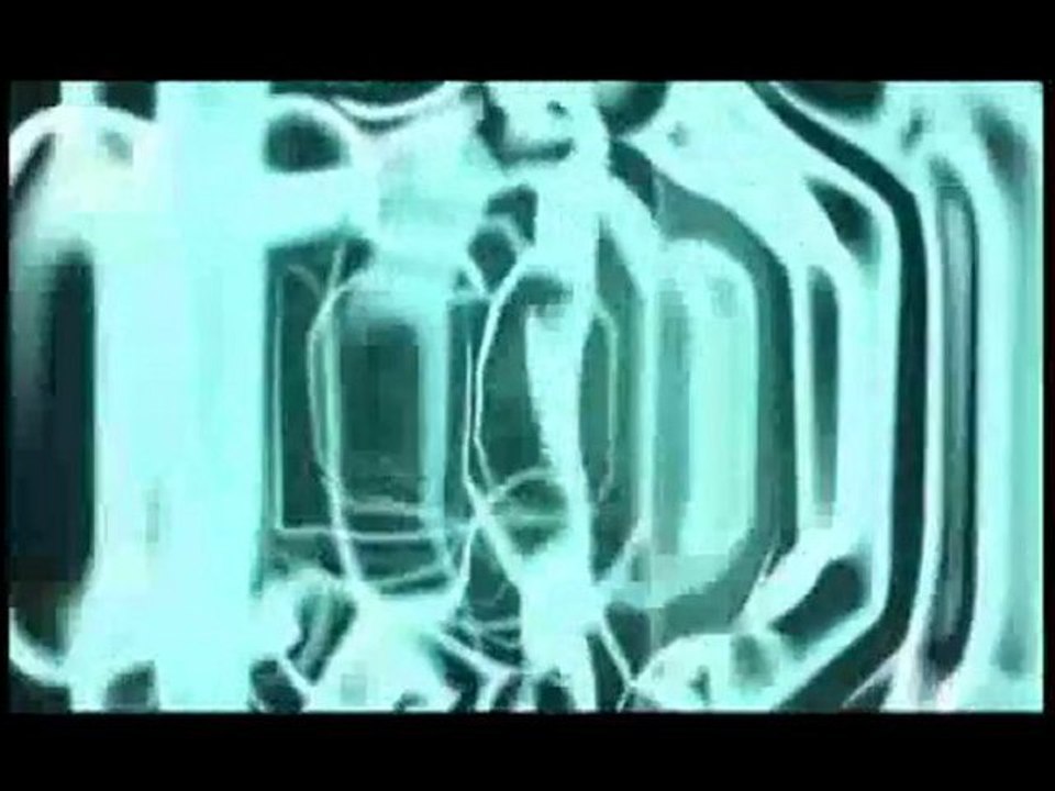 Weapon Laser 17 HMR vs Hog Pig