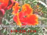 Dave Suda Landscaping No Complaints