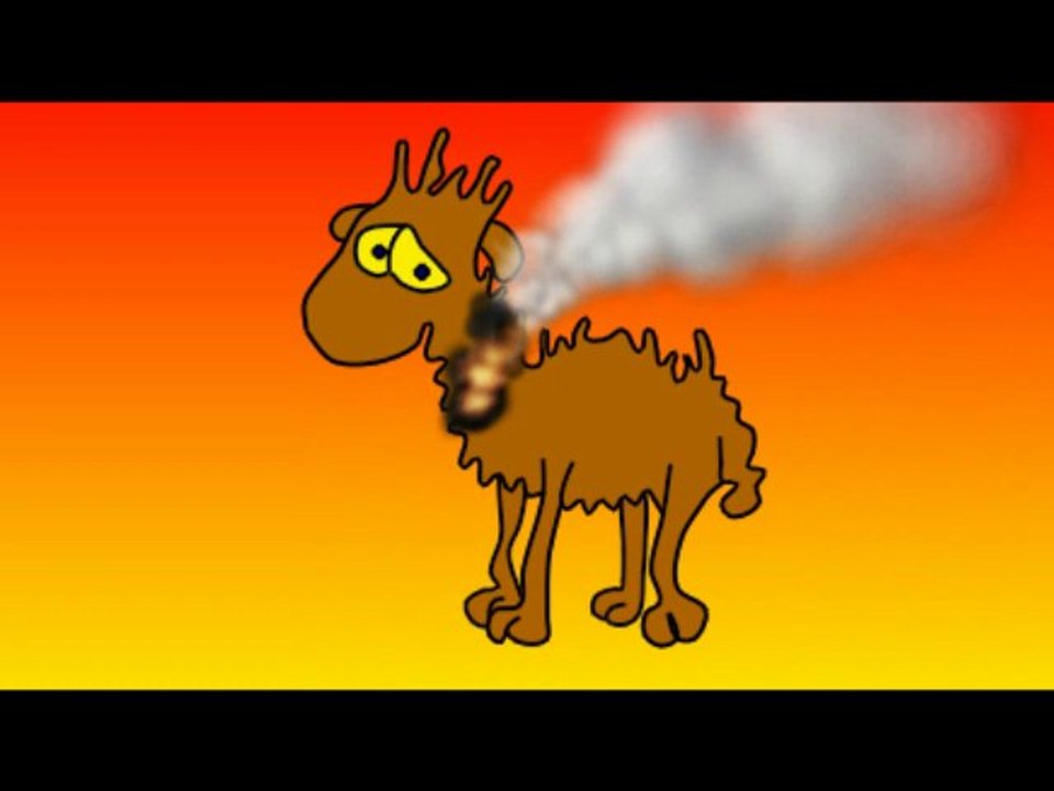 llama films layout 1