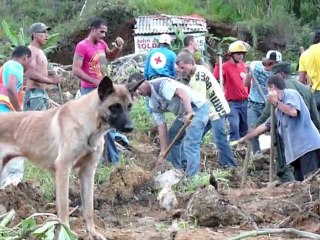 Hunt for survivors in Colombia's deadly landslide