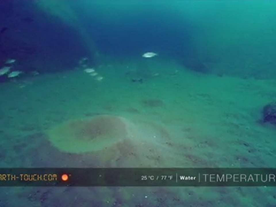 Malawi gölünden kesitler