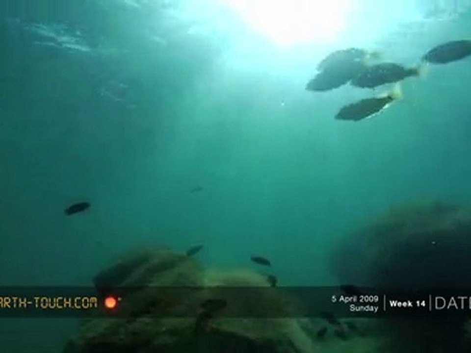 Malawi gölünden kesitler2