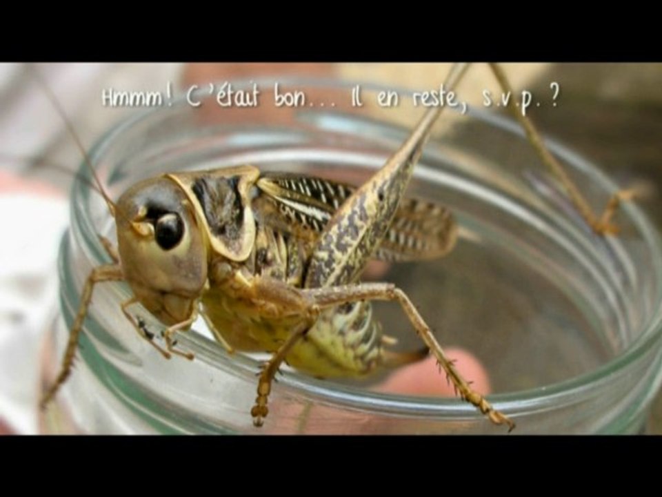 Quelques pas de danse... Et un peu de sport !