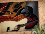 Acoustic Guitars Long Island. Authorized Taylor Dealer Suff