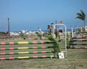 05.12.10-Faites du cheval x3 - Cécile Nickel