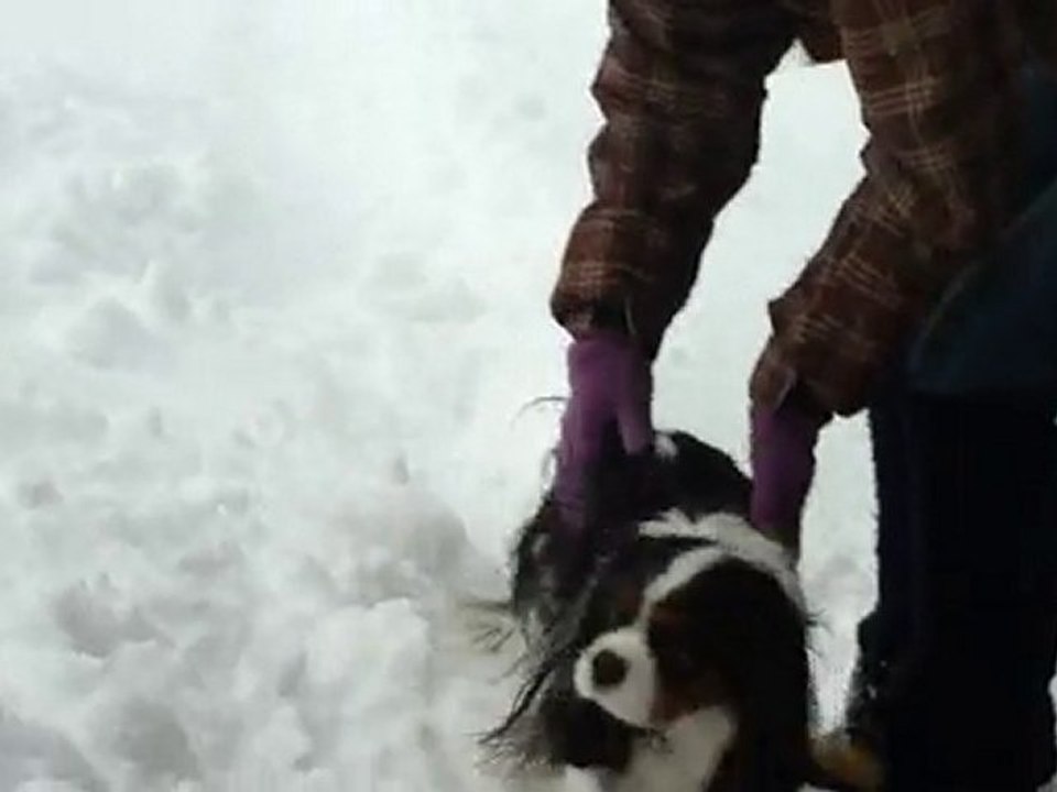 naguy dans la neige